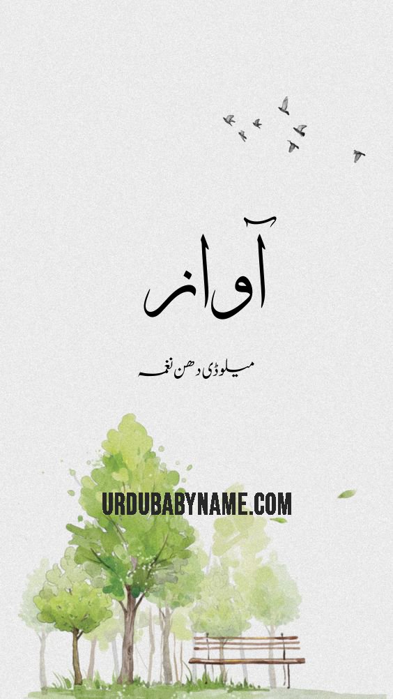 Aawaz name meaning in urdu