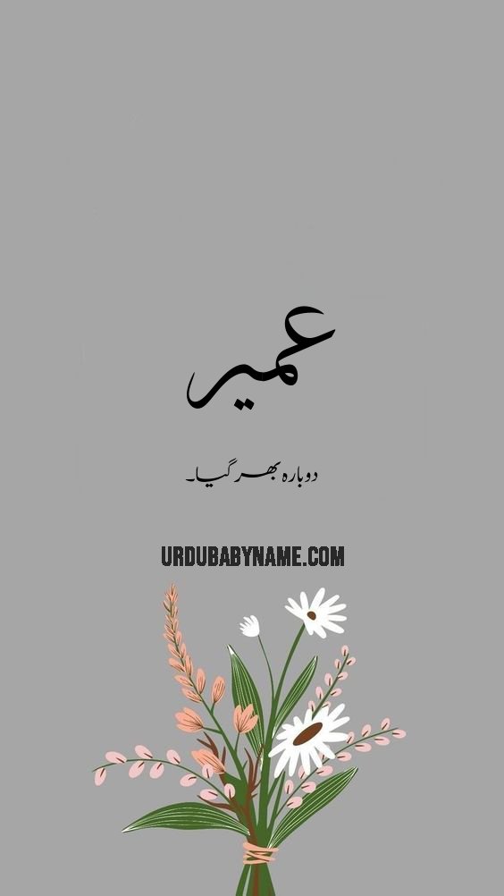 Amaer name meaning in urdu