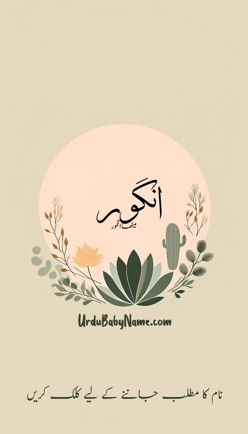 Angur name meaning in urdu