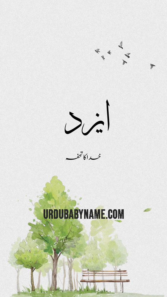 Azeed name meaning in urdu