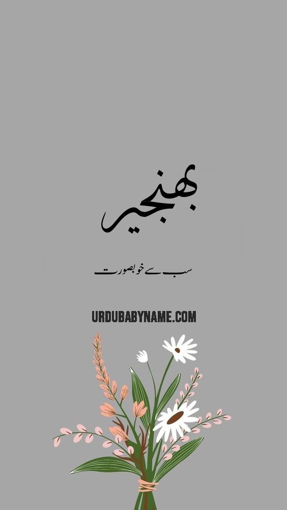 Bhenjir name meaning in urdu