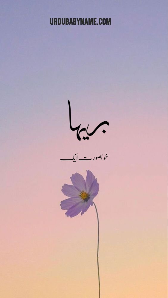 Breeha name meaning in urdu