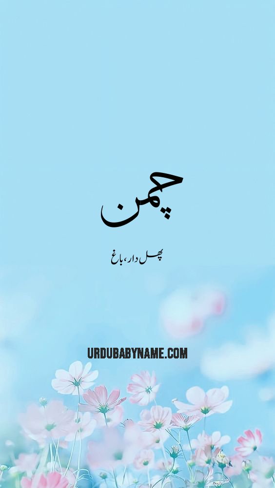 Chaman name meaning in urdu