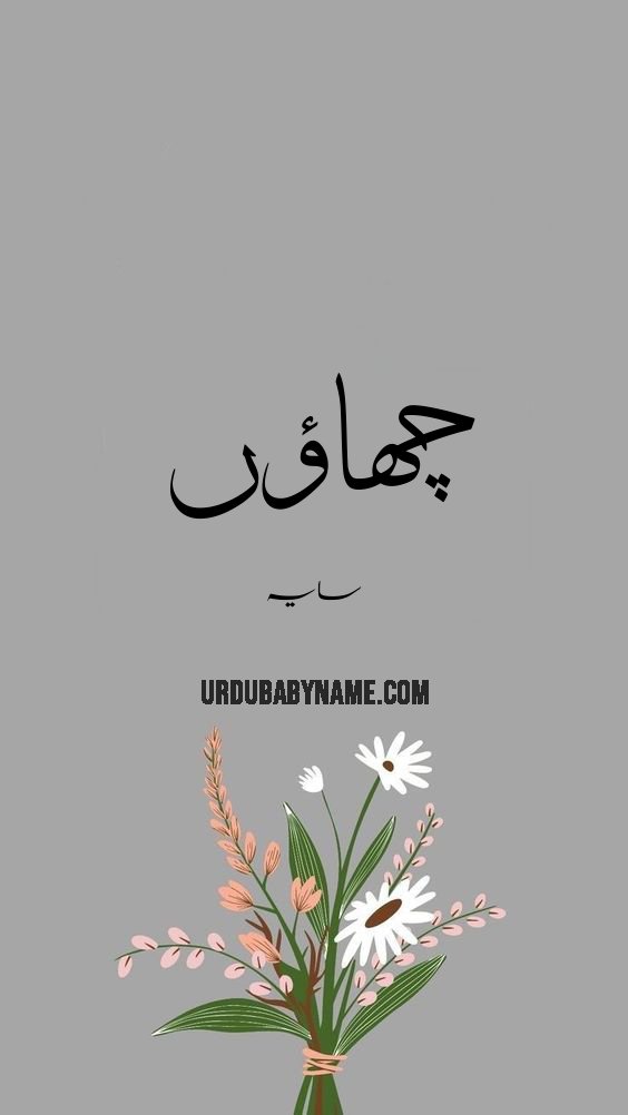 Chhaon name meaning in urdu