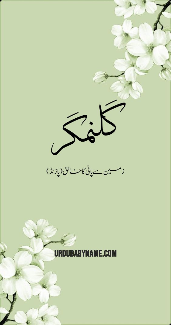 Gelnamgar name meaning in urdu