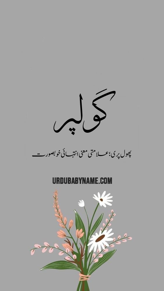 Golpar name meaning in urdu