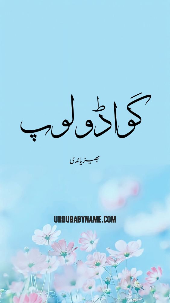 Guadulupe name meaning in urdu