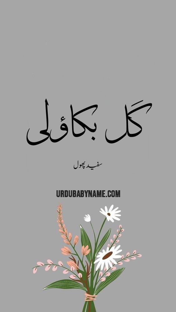 Gull Bakauli name meaning in urdu