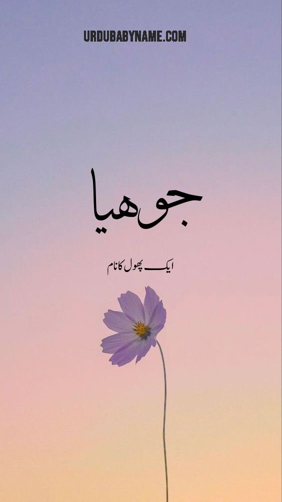 Johiya name meaning in urdu