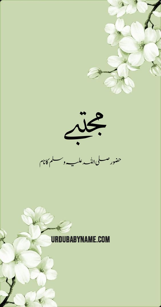 Majtaba name meaning in urdu