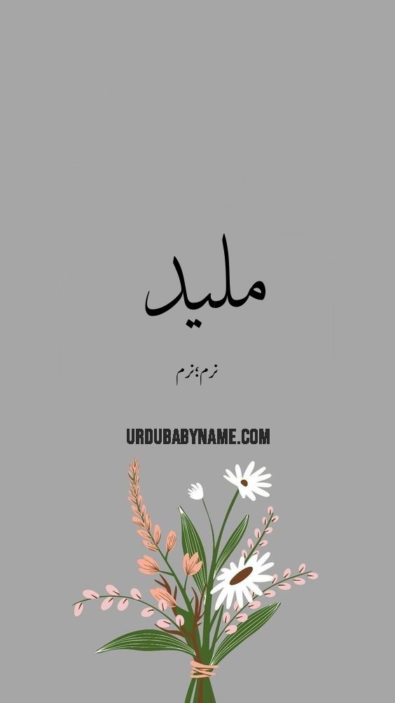 Maleed name meaning in urdu