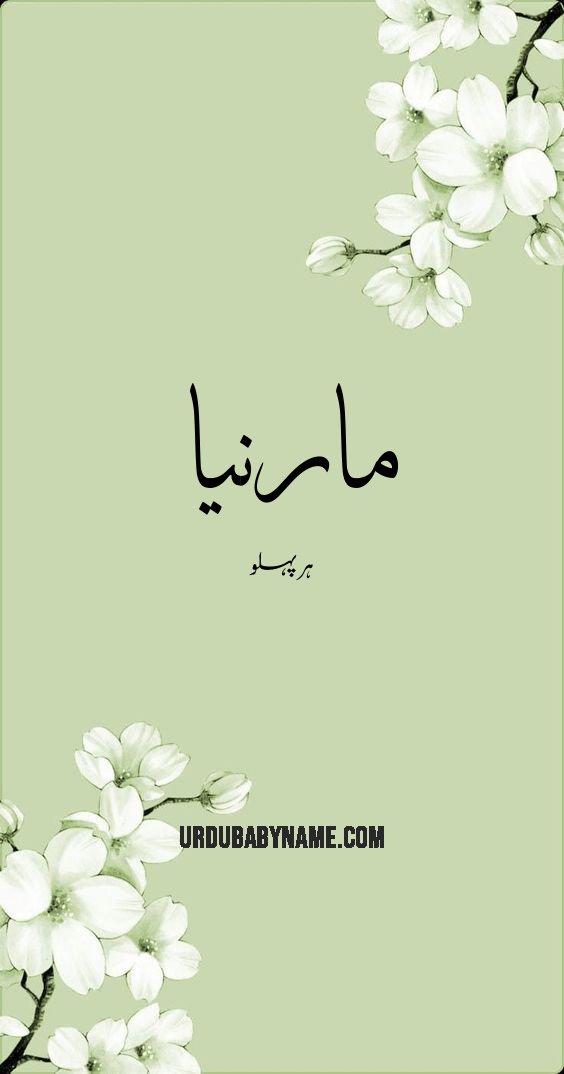 Marnia name meaning in urdu