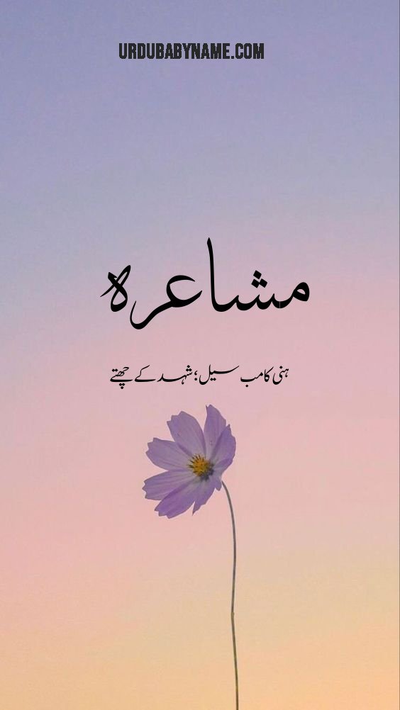 Mashara name meaning in urdu