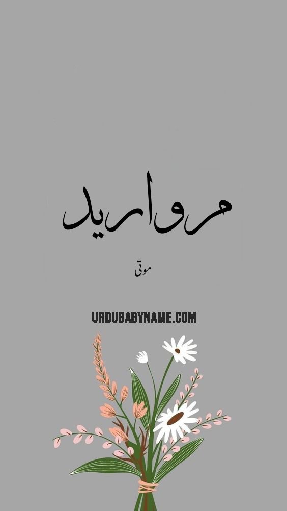 Merwarid name meaning in urdu