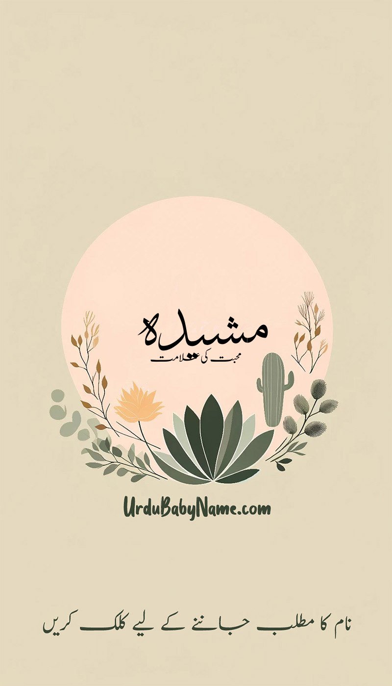 Musheeda name meaning in urdu