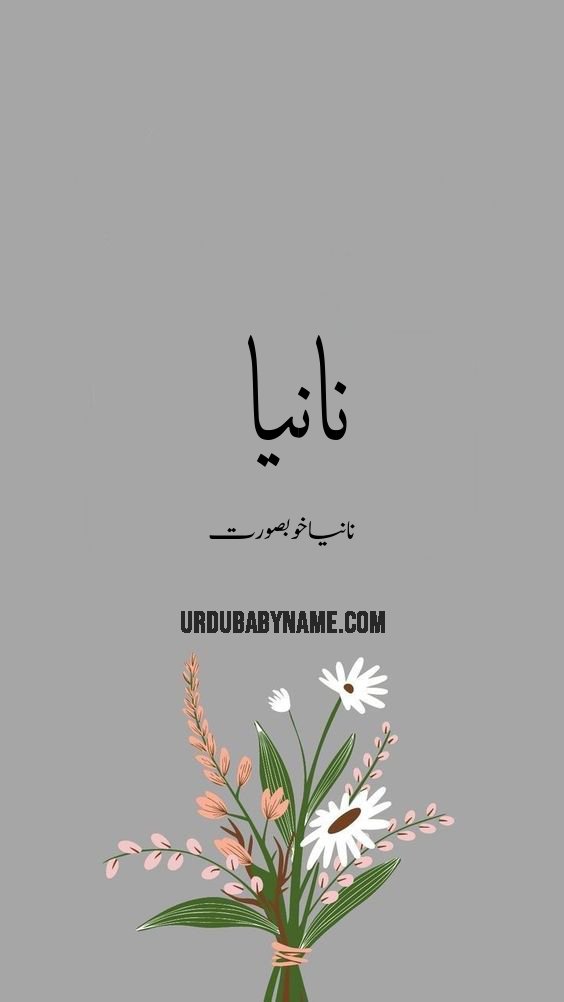 Nania name meaning in urdu