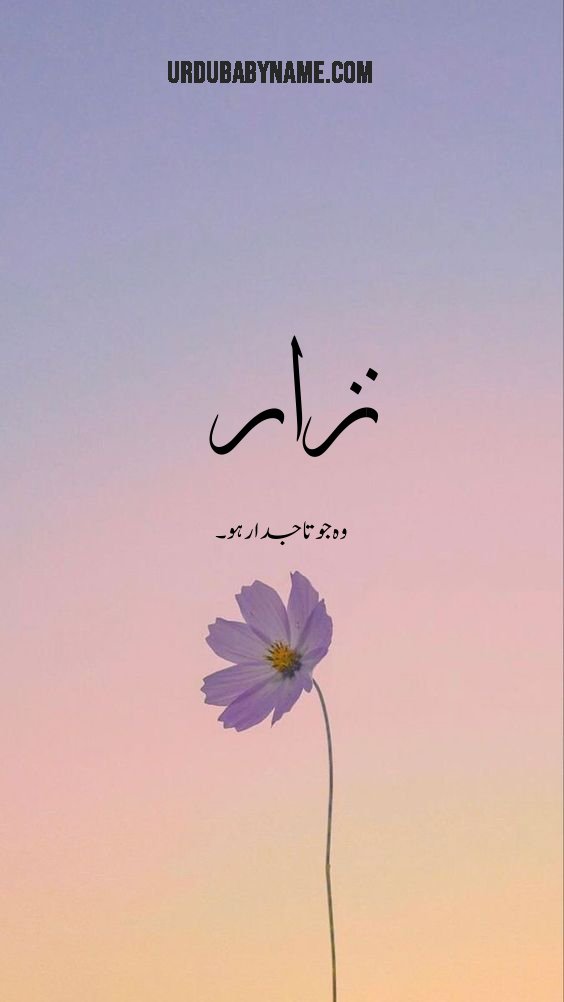 Nezar name meaning in urdu