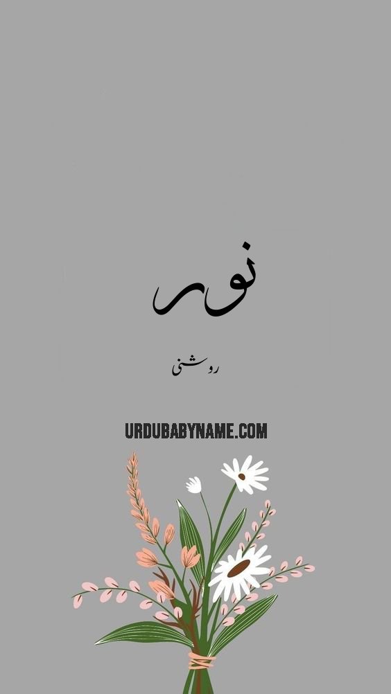 Nour name meaning in urdu