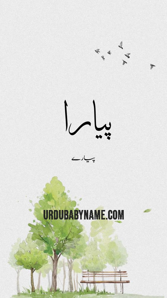 Piyara name meaning in urdu