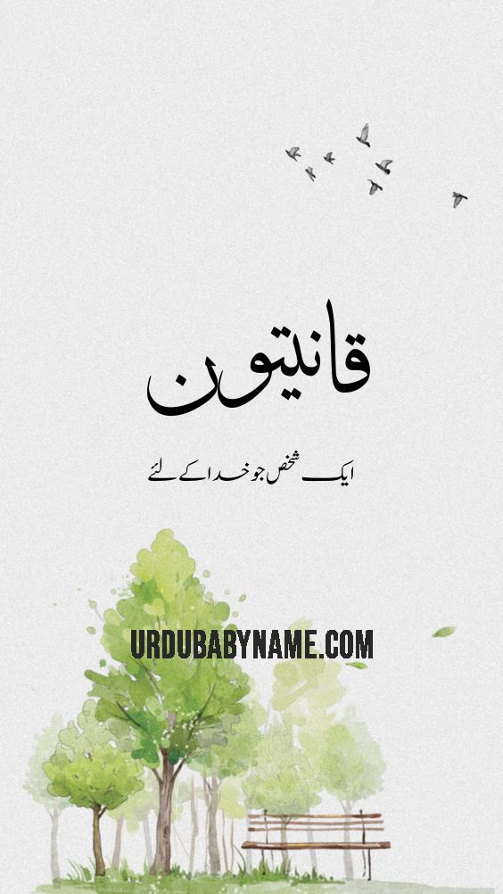 Qaanitoon name meaning in urdu