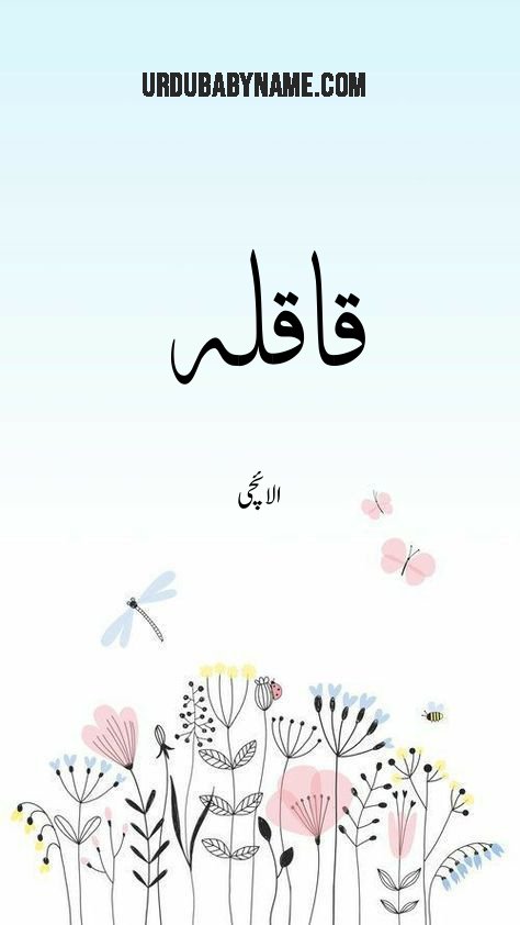 Qaaqlah name meaning in urdu