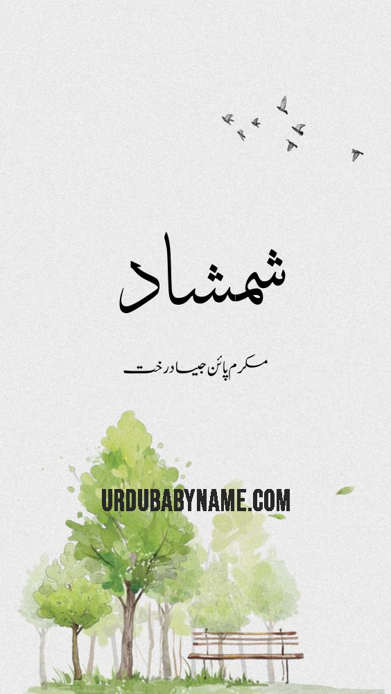 Shammshad name meaning in urdu