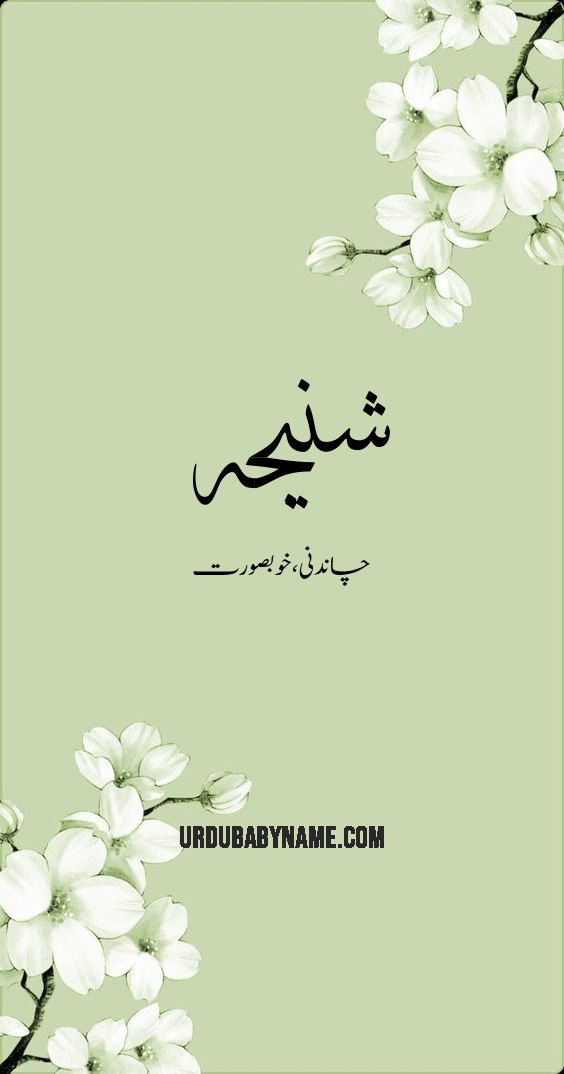 Shaneeja name meaning in urdu