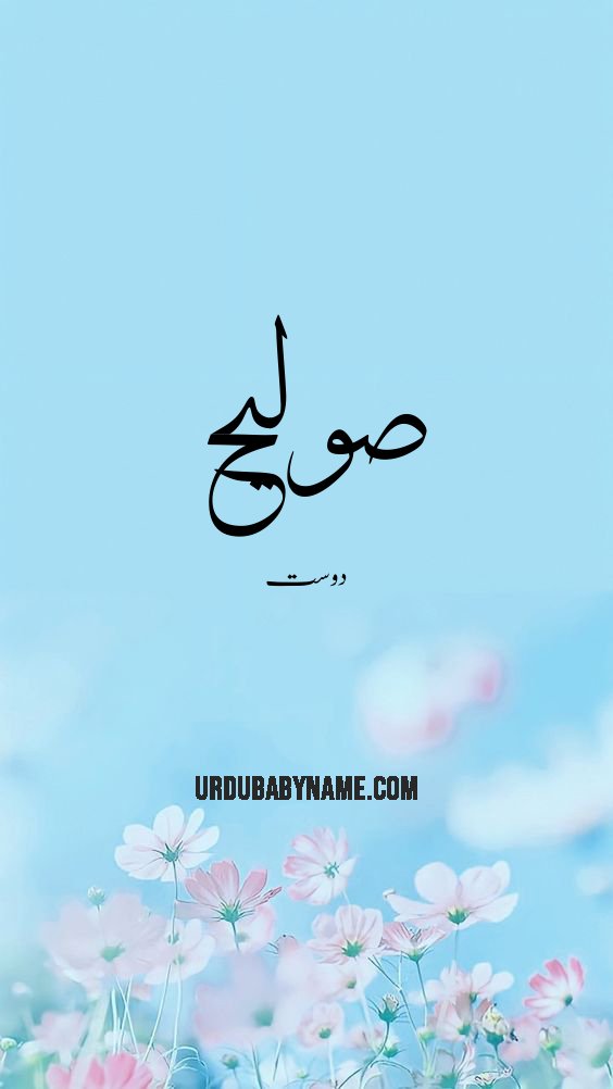 Soleeh name meaning in urdu