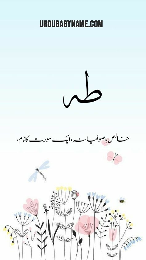 Taha name meaning in urdu