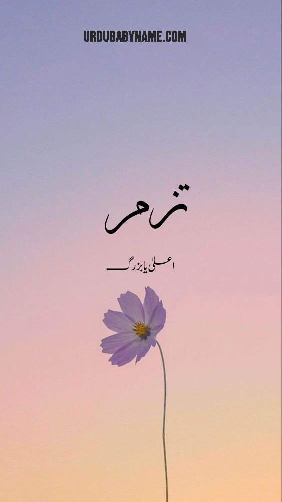 Tazam name meaning in urdu