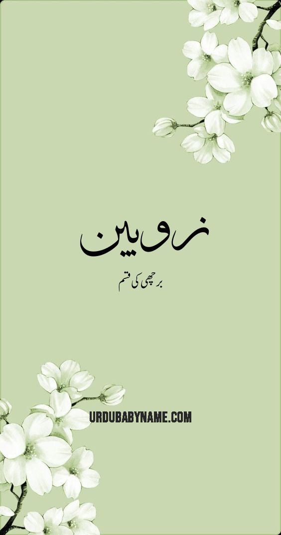 Zhobin name meaning in urdu