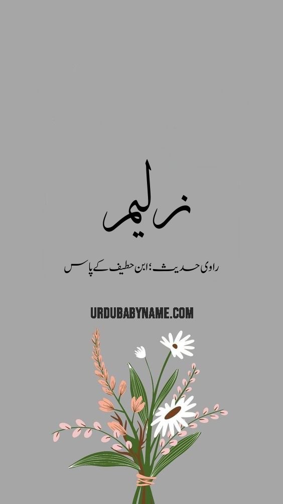 Zulaym name meaning in urdu